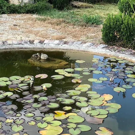 Bed & Breakfast Domaine De Menerque